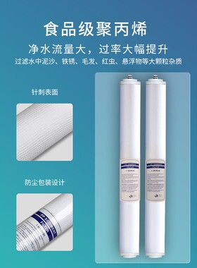 适用天天一泉20寸尖头滤芯售水机前四级用插口PP棉颗粒压缩活性碳
