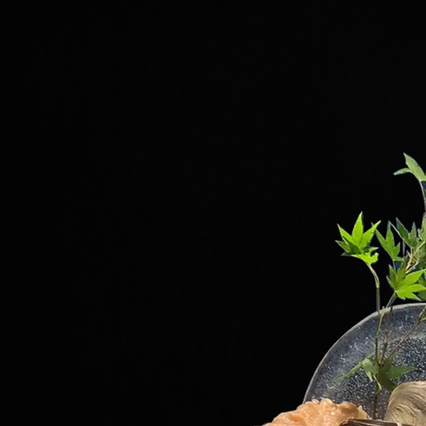 创意火锅餐具鲑鱼刺身冰盘高端海鲜姿造摆盘密胺高脚刺身乾冰盘,淘宝优惠券,粉丝福利购,淘宝优惠卷