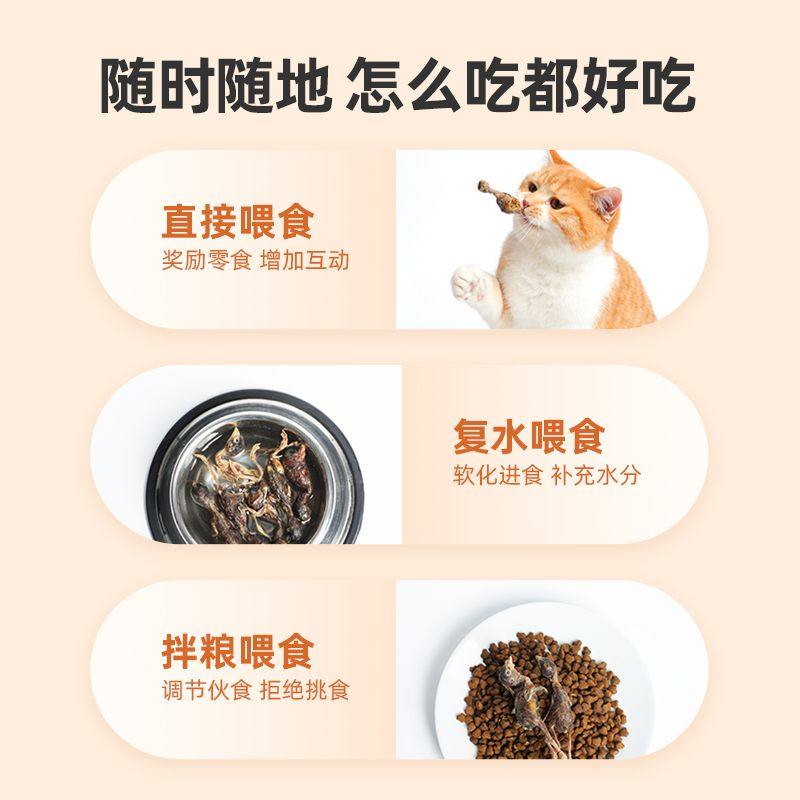 江小傲猫咪零食小鹌鹑猫冻干零食幼猫成猫营养磨牙洁齿宠物通用,淘宝优惠券,粉丝福利购,淘宝优惠卷