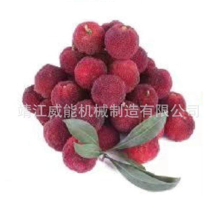 厂家直销大型工业商用不锈钢优质的沙棘果清汁生产线,淘宝优惠券,粉丝福利购,淘宝优惠卷