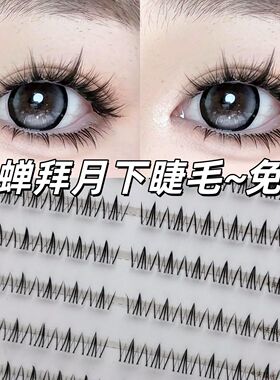 32排大容量睫毛书貂蝉下睫毛四大美人自然浓密上镜漫画眼睫毛单簇