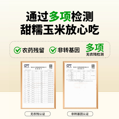 刘老杆东北黄糯玉米新鲜软糯黄粘苞玉米现摘真空早餐饱腹玉米棒