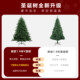 德国圣诞树家用客厅仿真摆件2025圣诞节ins风装饰diy挂件套餐大型