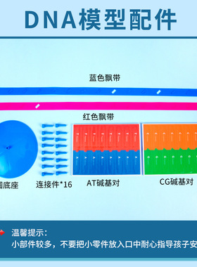 科技小制作DNA双螺旋结构模型手工diy科学实验人体基因生物材料