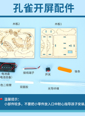 科学实验diy孔雀开屏光纤灯科技小制作儿童手工steam材料包套装