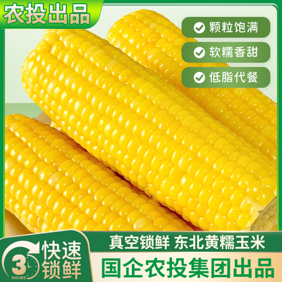 【农投集团】正宗东北黄糯玉米