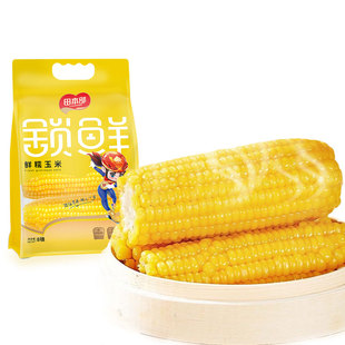 【农投集团】铝箔真空黄糯玉米*8支