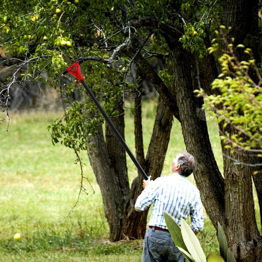 电动摘果机橄榄机高空橄榄收获机咖啡豆采核桃沙棘枸杞打果机,淘宝优惠券,粉丝福利购,淘宝优惠卷