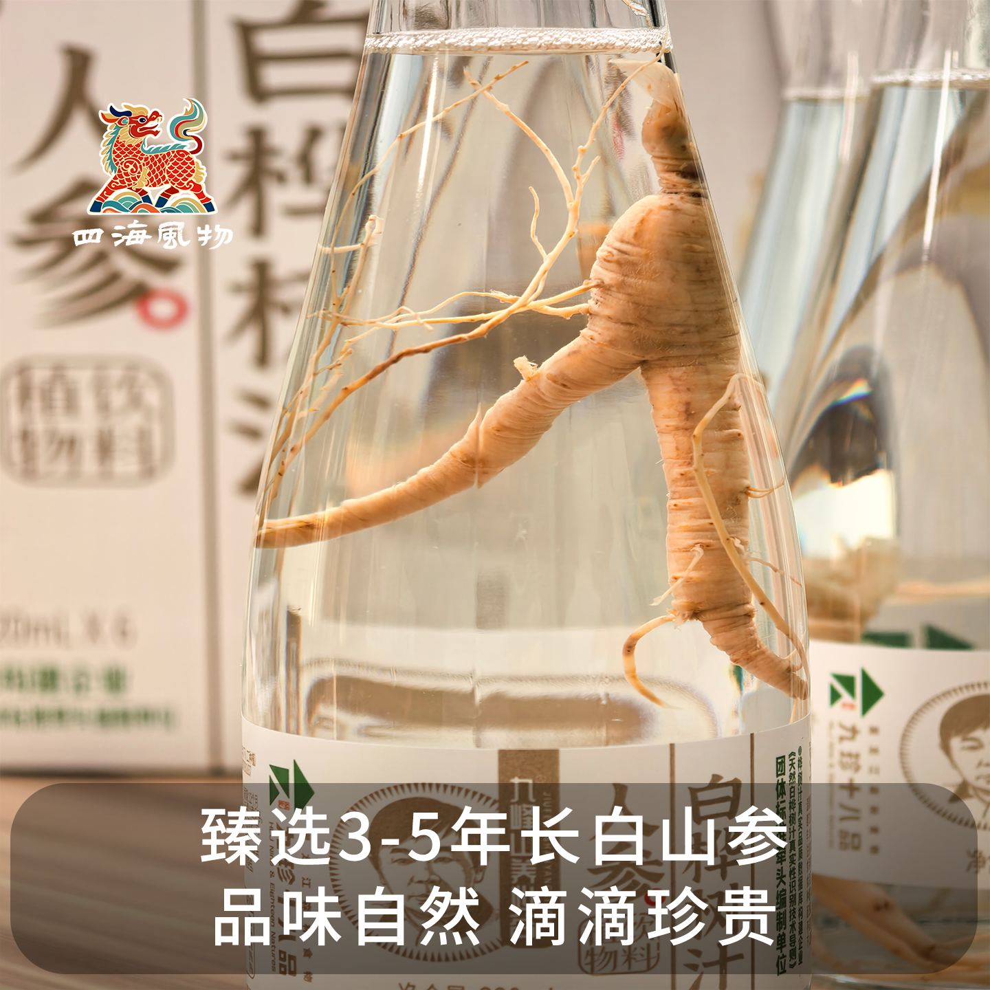 年货节四海风物整棵人参白桦树汁源头工厂原液直发植物饮料健康