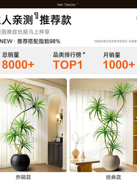 轻奢客厅仿真绿植龙血树龙舌兰假树植物盆栽室内装饰落地盆景摆件
