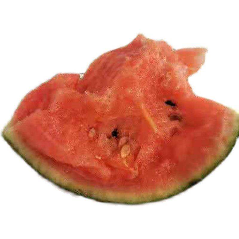 蜂蜜小西瓜种子薄皮少籽红瓤西瓜园艺盆栽阳台水果种子盆栽小西瓜,淘宝优惠券,粉丝福利购,淘宝优惠卷