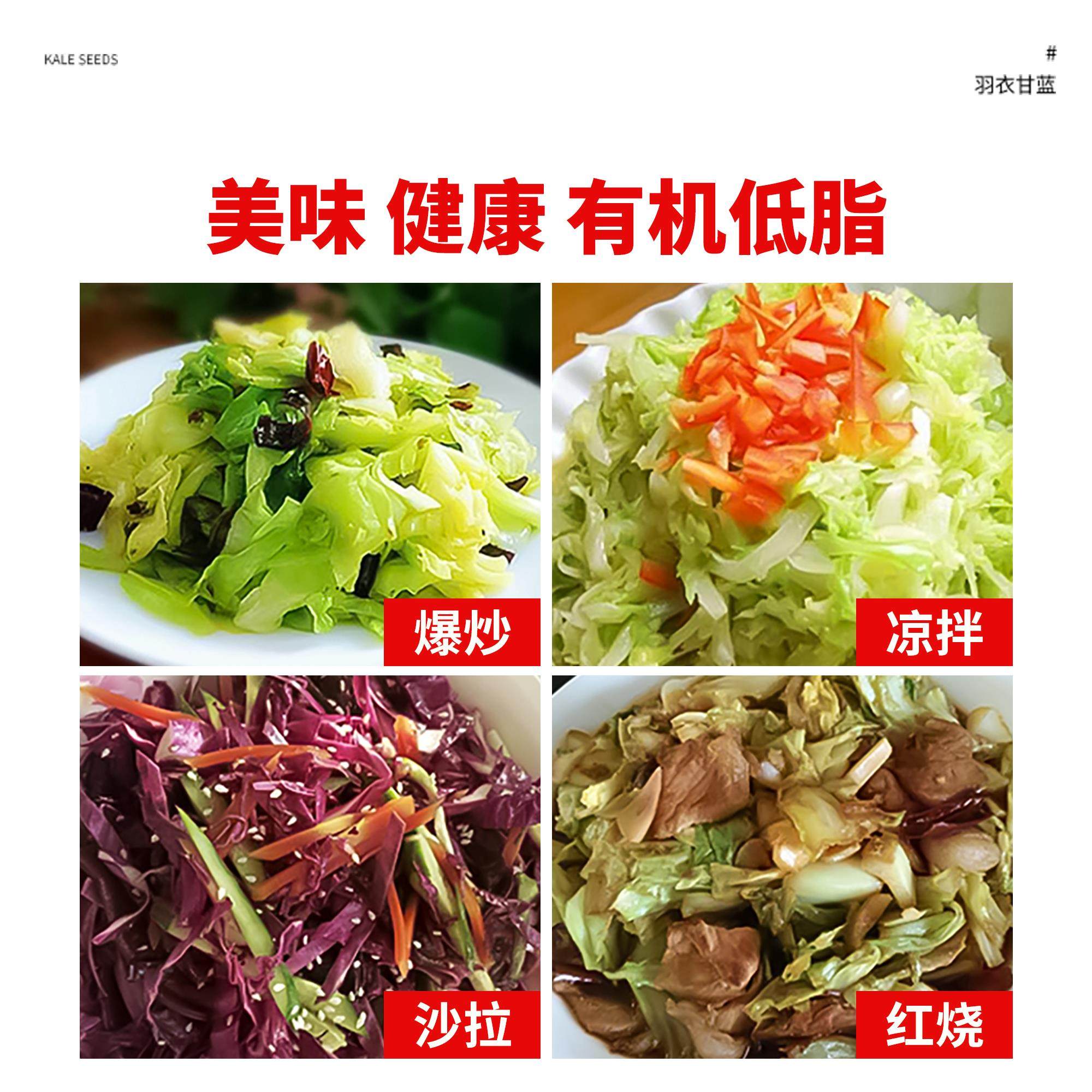 羽衣甘蓝苗种子轻食沙拉蔬菜种孑大全雨衣甘蓝菜籽适合冬天种的菜,淘宝优惠券,粉丝福利购,淘宝优惠卷