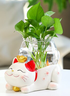 治愈解压招财猫水培小型鱼缸客厅家居办公室工位桌面装饰摆件礼物