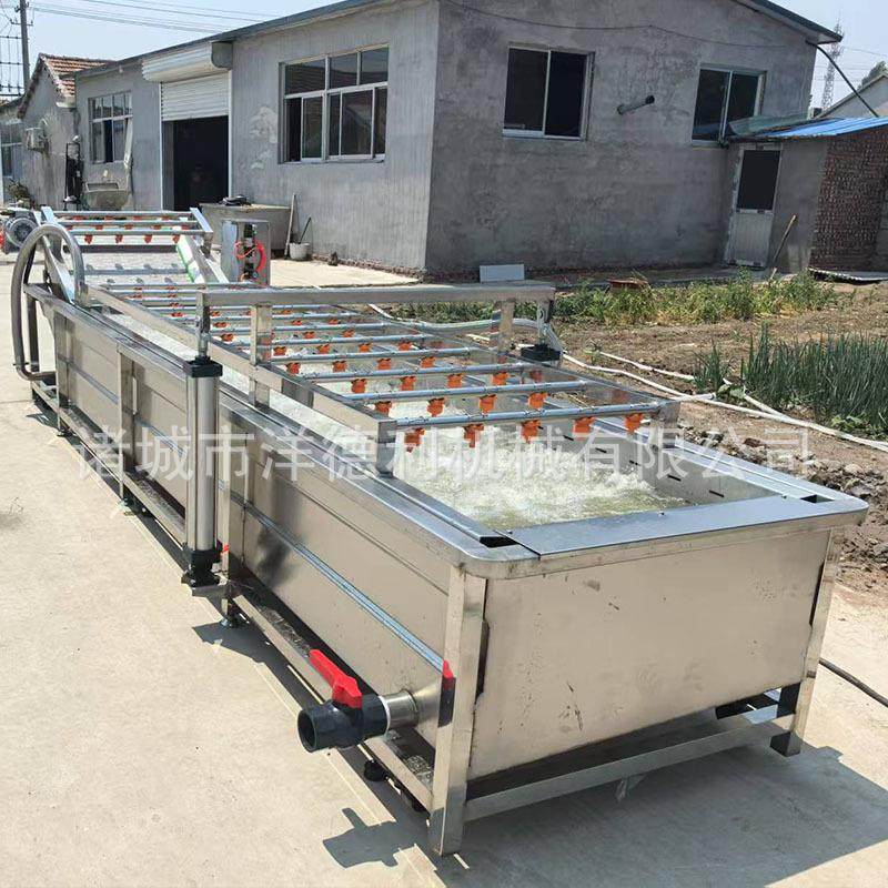 气缸提升式清洗机肉类气缸提升气泡清洗机山楂苹果瓜果清洗设备,淘宝优惠券,粉丝福利购,淘宝优惠卷