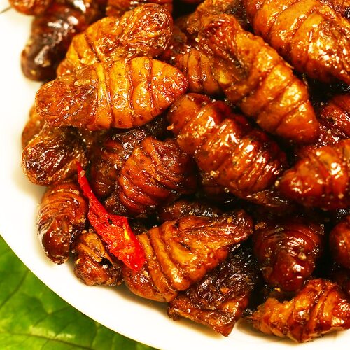 【买3送3】山东特产香酥蚕蛹黄金豆即食下酒菜香辣五香新鲜蚕蛹 - 图3