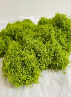 仿真dijy苔藓假青苔仿生草皮造景丝线人工植被假草皮草坪花盆铺面