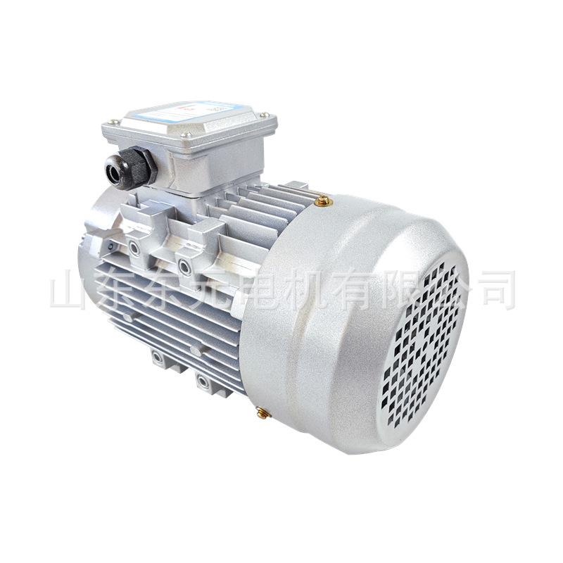 YE3系列三相电动机YE3-71M1/M2/M3-4极风机0.25W-0.75W电机 - 图3