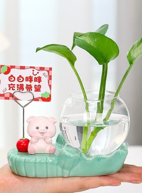 卡通可爱家居客厅办公室可爱萌宠便签夹桌面绿萝水培花盆装饰摆件