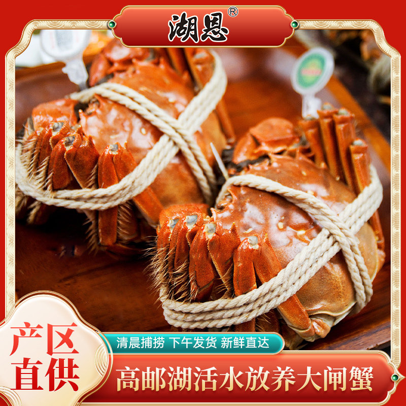 湖恩牌高邮湖大闸蟹6两公5两母特大蟹10只礼盒新鲜活螃蟹中秋送礼,淘宝优惠券,粉丝福利购,淘宝优惠卷