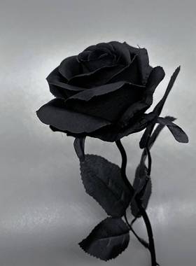 哥特黑玫瑰花拍摄道具白黑色假干花束仿真拍照不良jk手持扇子枯萎