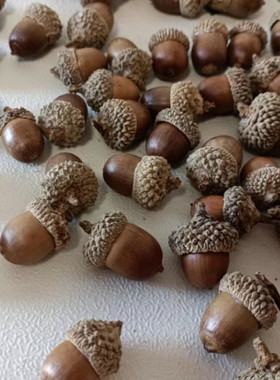手工diy材料包混装花材天然植物