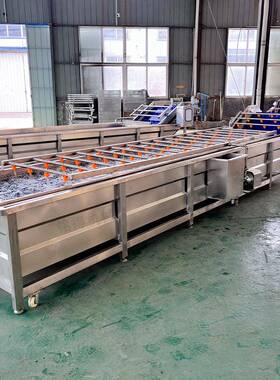 大型果蔬清洗机商用不锈钢洗菜机包菜清洗鼓泡去残泥沙清洗机