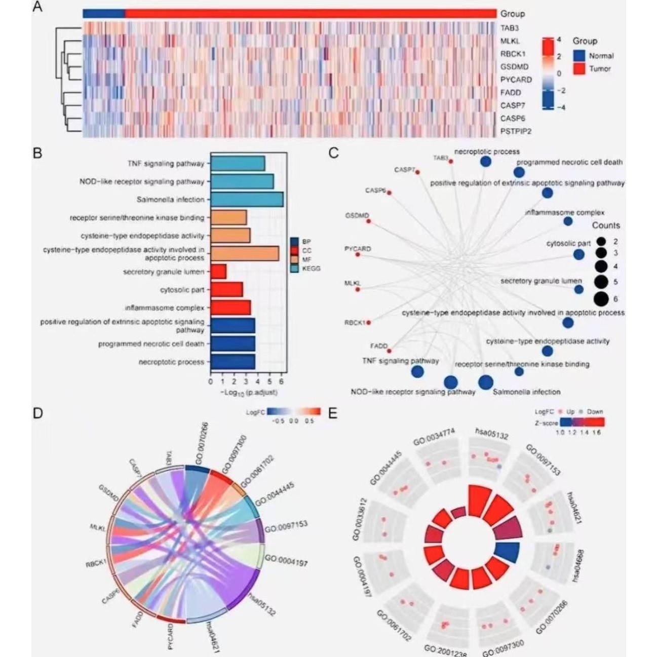 网路理学分子对接中网路理学教程自学入门零基础课程G107 - 图1