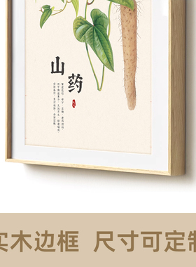 中医文化草药图谱装饰挂图