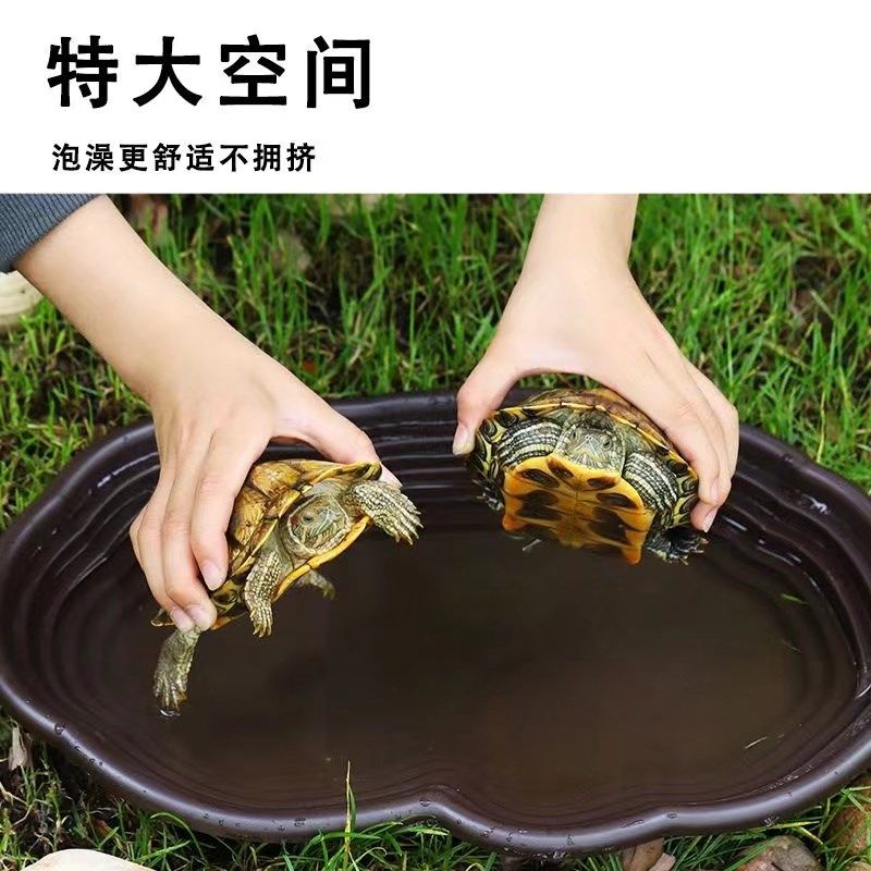 乌龟泡澡盆阶梯式黄缘龟专用塑料鱼缸半水龟陆龟爬虫宠物饲养水盆,淘宝优惠券,粉丝福利购,淘宝优惠卷