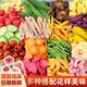 Fruit and vegetable crisps, independent small packages, mixed freeze-dried fruits and vegetables, dried candied fruits, preserved fruits, dehydrated ready-to-eat fruit snacks