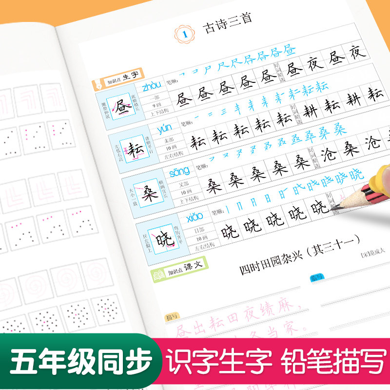 【神奇大自然科普绘本】全小学生课外书儿童趣味动物百科全书睡前绘本正版书籍幼儿童认知绘本启蒙物理趣味科学漫画书