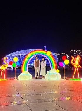 仿真火烈鸟摆件小区公园林景观装饰品婚庆橱窗玻璃钢发光云朵雕塑