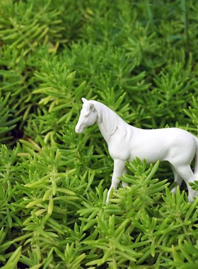 白马 造景花园盆景微景观苔藓绿植假山奇石摆件中式家居工艺品