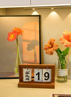 ins风文艺光影玄关装饰画摆件客厅卧室梳妆台高级感小众植物挂画