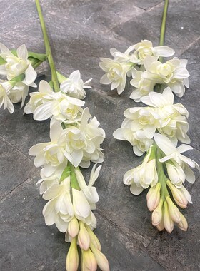重瓣晚香玉仿真花玉簪花家居插花玄关造景装饰摆设花婚庆白色花枝
