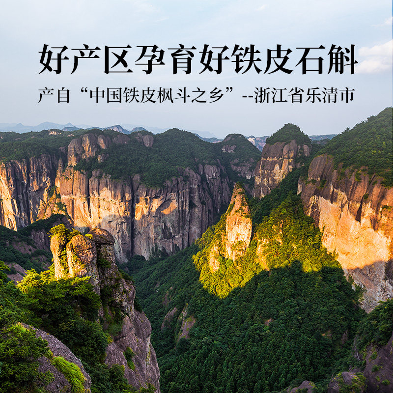 正宗霍山铁皮石斛安徽野生铁皮石斛枫斗中药材米斛官方旗舰店礼盒,淘宝优惠券,粉丝福利购,淘宝优惠卷