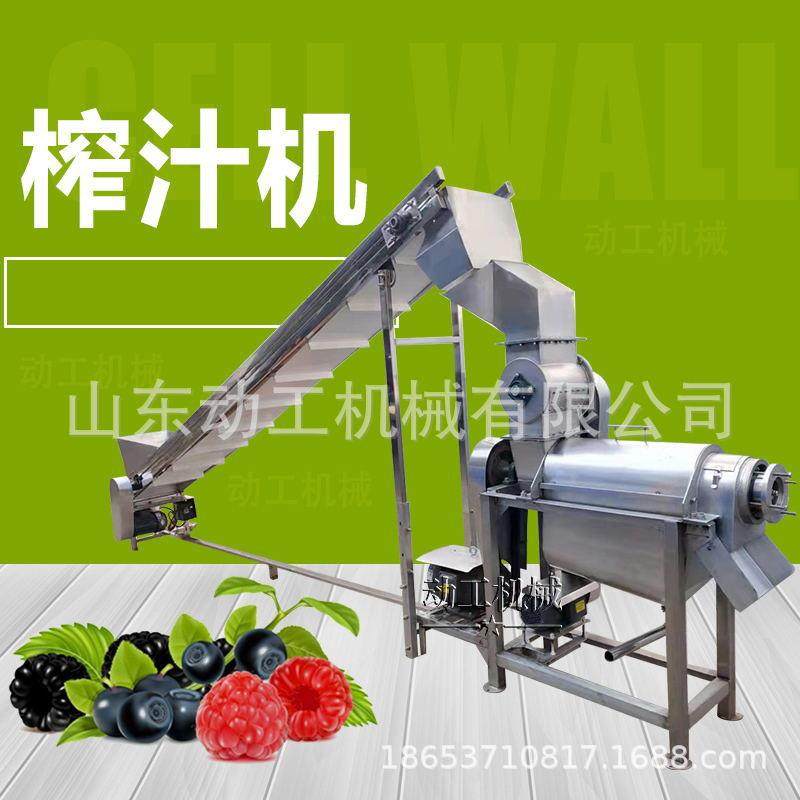 新鲜水果蔬菜榨汁机商用白菜渣汁分离一体机工业樱桃去核原汁机,淘宝优惠券,粉丝福利购,淘宝优惠卷