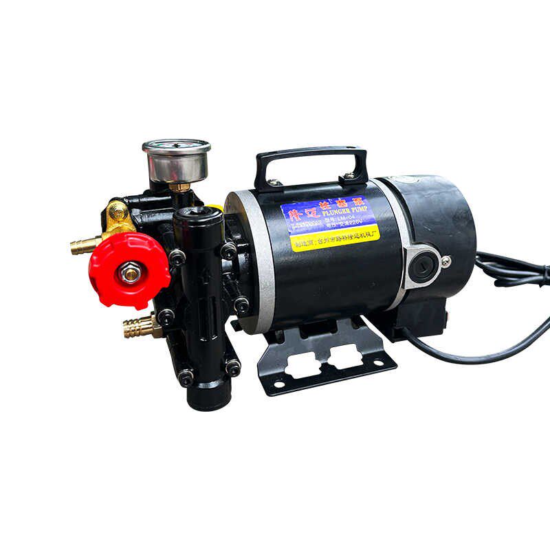 隆迈手提式打药机农用电动果树喷雾器12v60v24v220伏双缸柱塞泵,淘宝优惠券,粉丝福利购,淘宝优惠卷