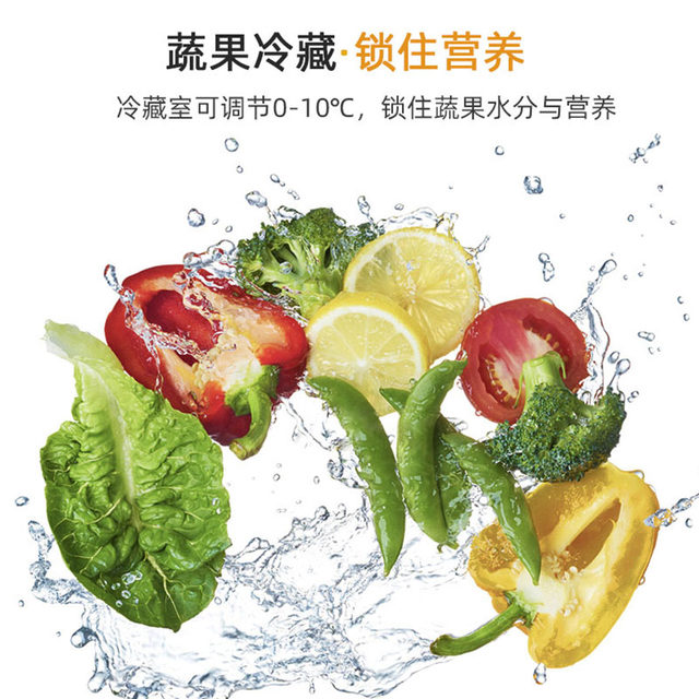 Oaks small refrigerator household small energy-saving dormitory rental office mini energy-saving double-door refrigerator