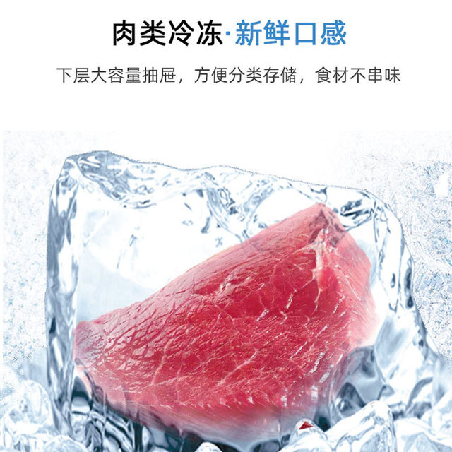 Oaks small refrigerator household small energy-saving dormitory rental office mini energy-saving double-door refrigerator