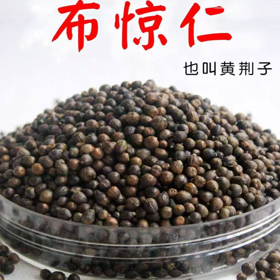 黄荆子床上用品枕头套件枕芯单件种子植物家居黄金布惊子茶,淘宝优惠券,粉丝福利购,淘宝优惠卷