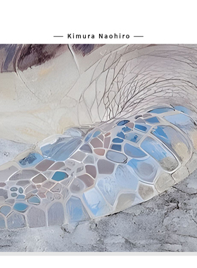 【Kimura Naohiro】治愈系蓝色海洋插画高级感海龟艺术复刻挂画芯