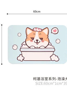 硅藻泥浴室门口吸水地垫洗手间硅藻土脚垫卫生间装饰品可水洗门垫