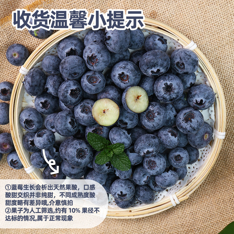 滇鲜生云南高山蓝莓当季新鲜水果浆果新鲜软糯包邮到家甄选蓝莓,淘宝优惠券,粉丝福利购,淘宝优惠卷
