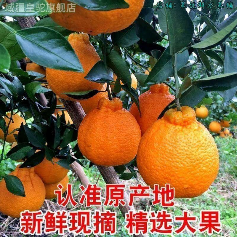 四川春见耙耙柑粑粑柑10斤橘子甜当季整箱新鲜水果丑柑桔包邮,淘宝优惠券,粉丝福利购,淘宝优惠卷