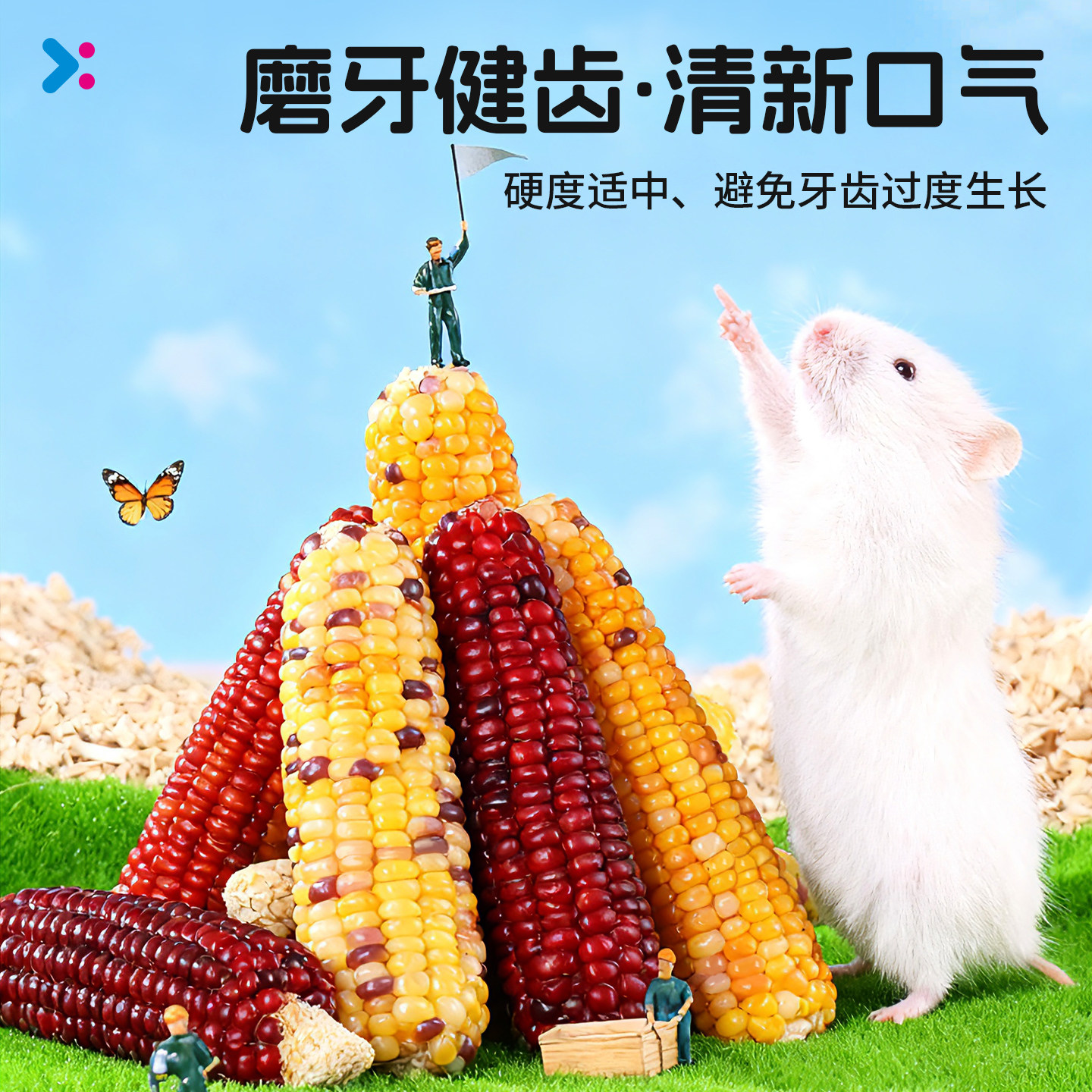 炫耀仓鼠零食小玉米磨牙棒粮食金丝熊营养花枝鼠造景生活用品兔子,淘宝优惠券,粉丝福利购,淘宝优惠卷