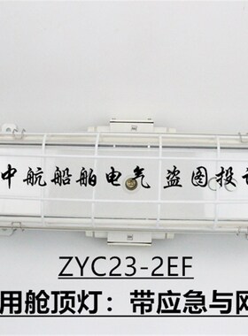 艳阳TCYA20-2A船用双管直管荧光灯舱顶灯JCY/ZYC23-2EF应急网罩