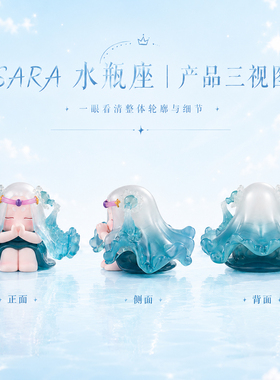 Sara水瓶座摆件礼物女生