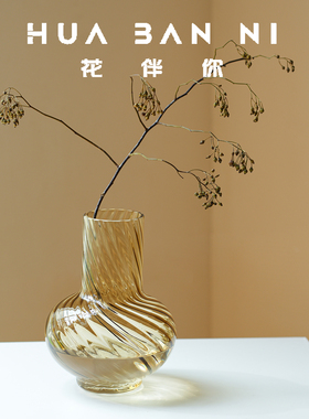 ins大肚玻璃花瓶插花瓶