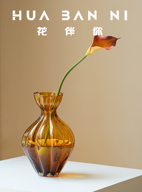 玻璃花瓶高级感创意中古水养